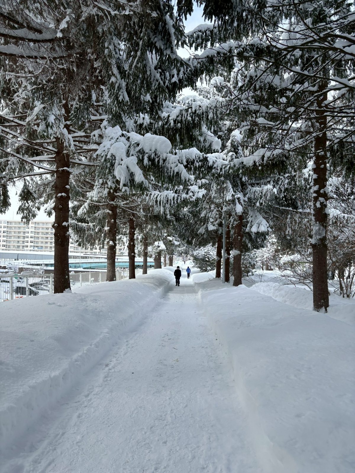 雪景色のサイクリングロード
